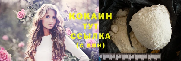 индика Каменка