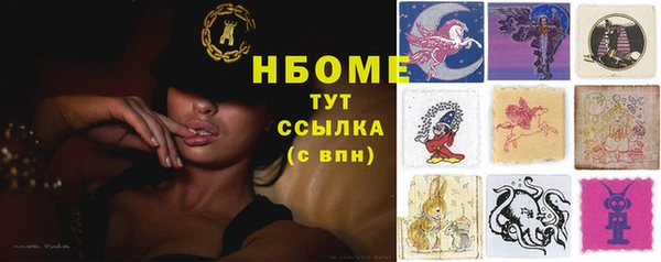 индика Каменка