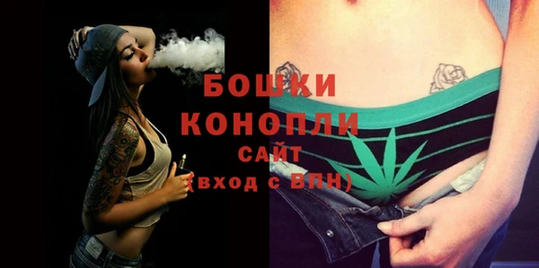 индика Каменка