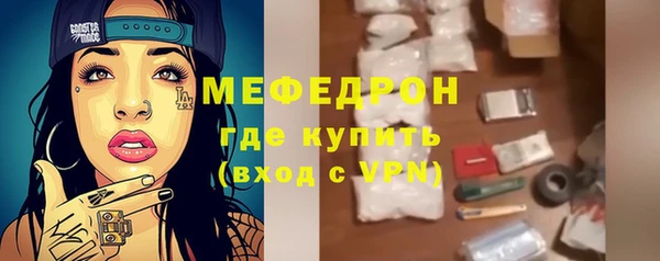 индика Каменка