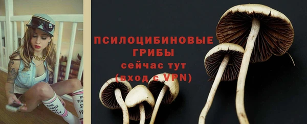 apvp Карталы