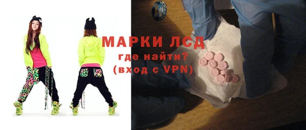 индика Каменка