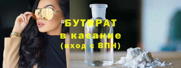 индика Каменка