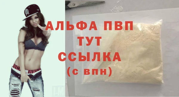 индика Каменка