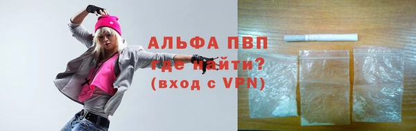 индика Каменка