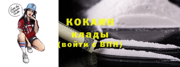 индика Каменка