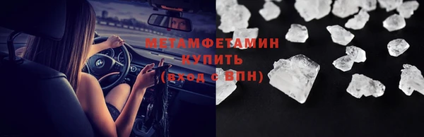 индика Каменка