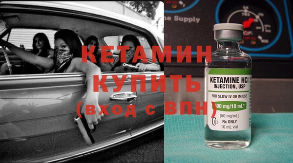 индика Каменка