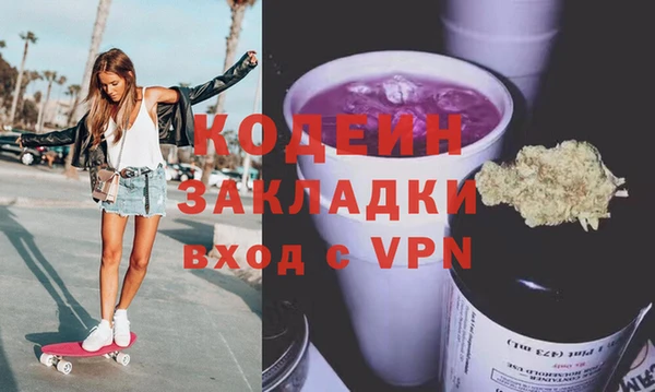 индика Каменка