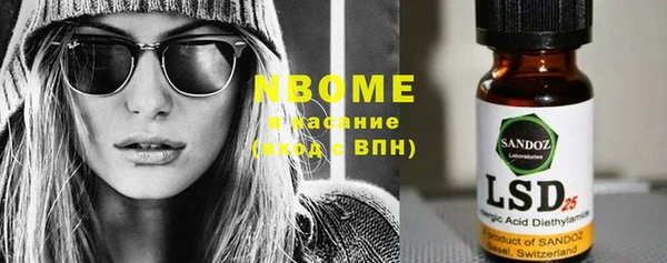 индика Каменка