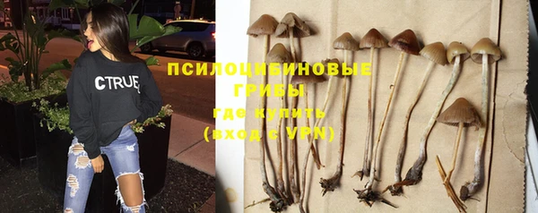 меф Каменногорск