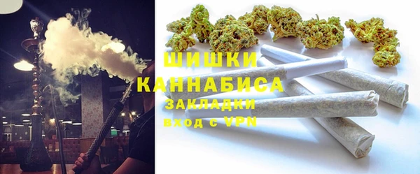 индика Каменка