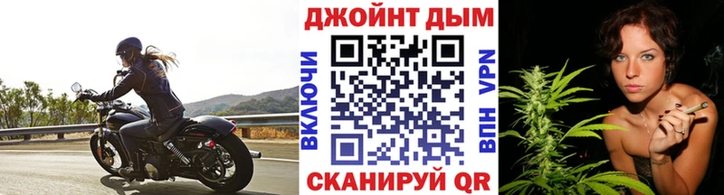 Купить  Ершов  Канабис MAZAR 